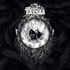 Symbiosis. Hollow. Embrace​.​