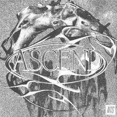 Ascend