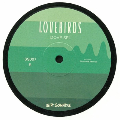 Dove Sei