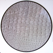 Alligator Bites Never Heal (1 Year Anniversary Edition) Picture Disc