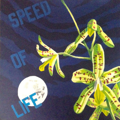 Speed Of Life