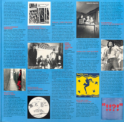 D-I-Y Do It Yourself: Punk Post-Punk Punk Funk & Beyond The Rise Of The Independent Music Industry