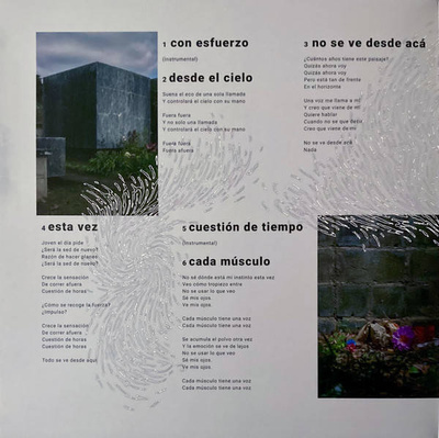 Se Ve Desde Aqui (Gatefold) Blue Marbled Vinyl