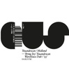 Bring Joy Youandewan Rmxs (Record Store Day 2015 Release)