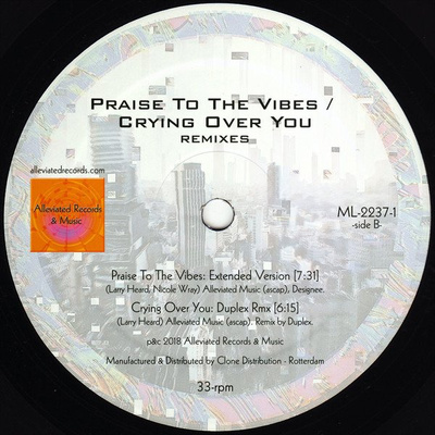 Praise To The Vibes / Crying Over You (Remixes)