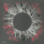 Fever Nights / Stingray (Red Marbled Vinyl)