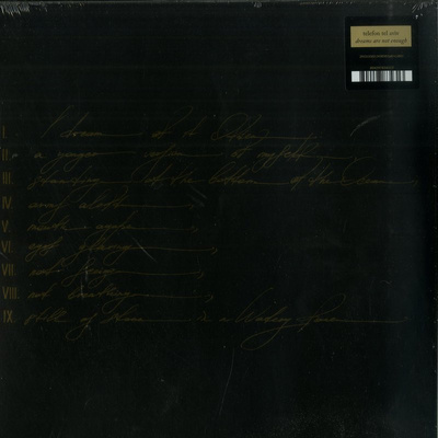 Dreams Are Not Enough