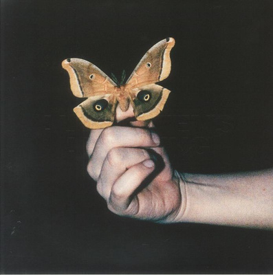 All Systems Are Lying (Gatefold)