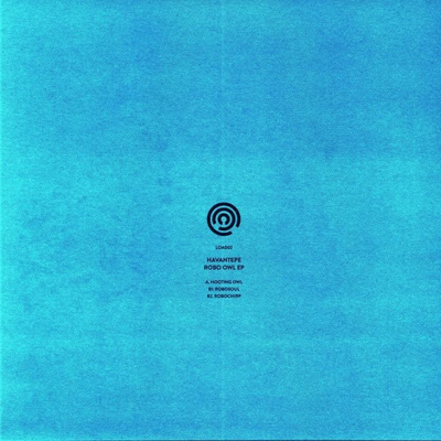 Robo Owl EP
