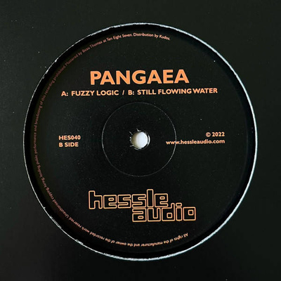 Fuzzy Logic / Still Flowing Water