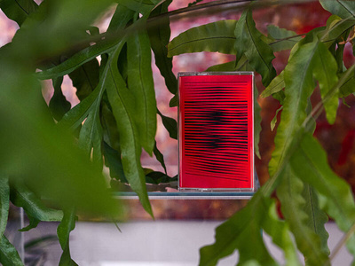 In Memory of Alvin Lucier