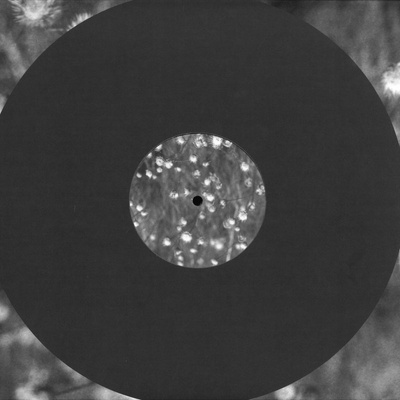 Elsewhere: Further Excursions (1994-1995)