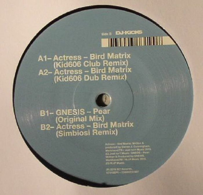 Bird Matrix (Remixes) / Pear