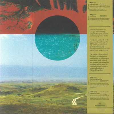 Gratitude (Red Marbled / Smoke In The Sun Vinyl)