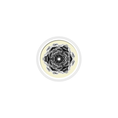The Light EP