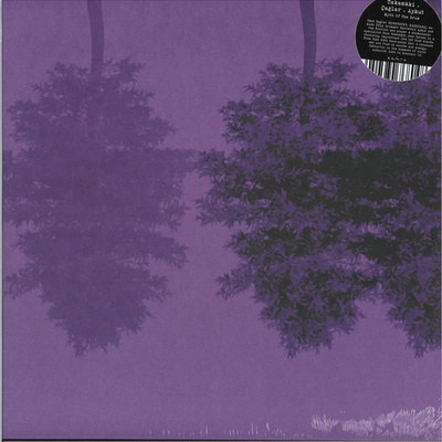 Myth of the Drum. Urban Transformation