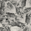 Ideas Of Aesthetics