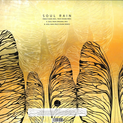 Soul Rain