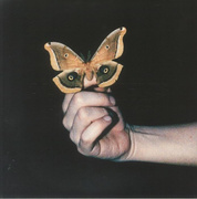 All Systems Are Lying (Gatefold)