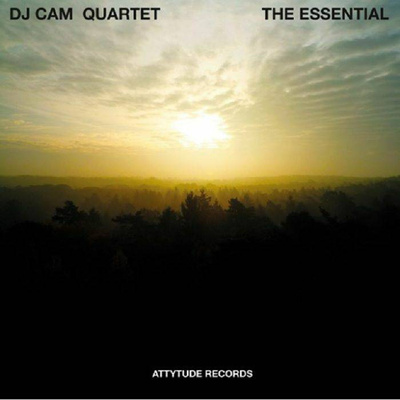 The Essential (Record Store Day 2020)