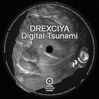 Digital Tsunami (2022 Repress)