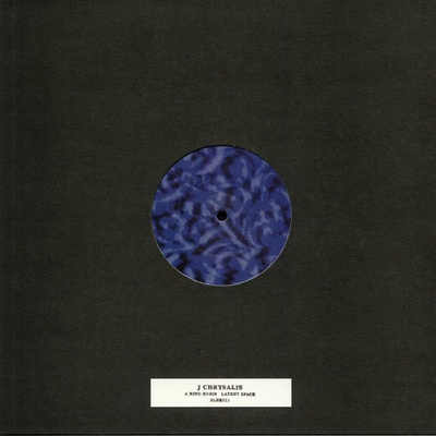 A Kind Robin / Latent Space