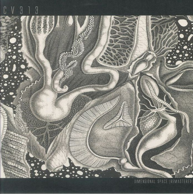 Dimensional Space (Clear Vinyl)