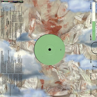 Whities 023 (The Act Of Falling From The 8th Floor)