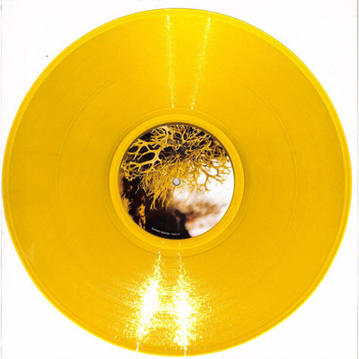 Subduction & Shadows (Clear Yellow Vinyl)