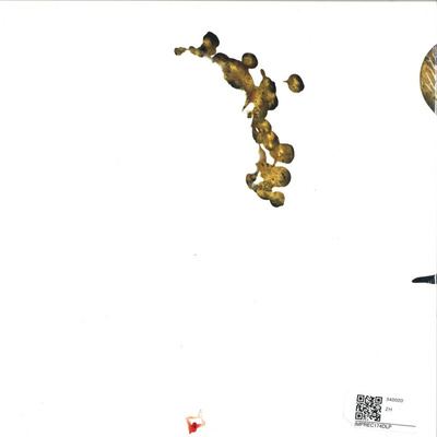 The Ape Of Naples (gatefold)
