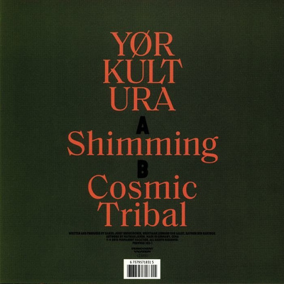 Shimming / Cosmic Tribal [Used / Second Hand]