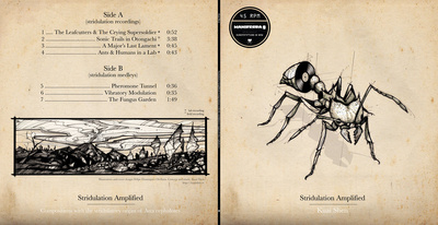 Stridulation Amplified: Compositions With The Stridulatory Organ Of Atta Cephalotes