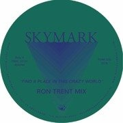 Find A Place In This Crazy World (Ron Trent Mix)