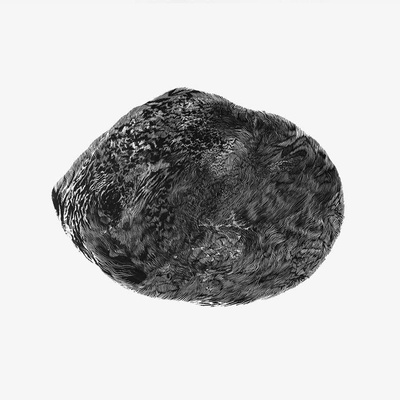 Echolette EP