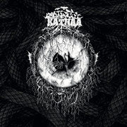 Symbiosis. Hollow. Embrace​.​