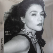 What's Your Pleasure? (The Platinum Pleasure Edition) Gatefold