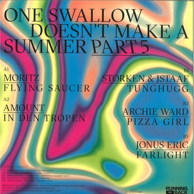 One Swallow Doesn’t Make A Summer Part 5