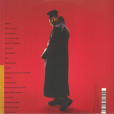 Sometimes I Might Be Introvert