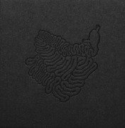 Hypnagogic Polish Music For Teenage Mutants