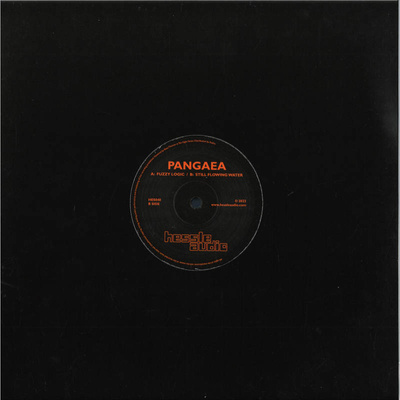 Fuzzy Logic / Still Flowing Water