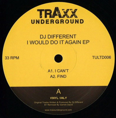 I Would Do It Again EP