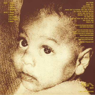 Foundation Steppers (180g)