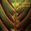 For A Reason (Gatefold)