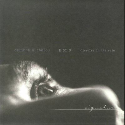 Dissolve In The Rain