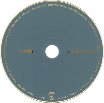 Nu Ambient Grooves