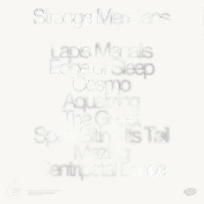 Strange Meridians (180g)
