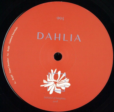 Dahlia 994