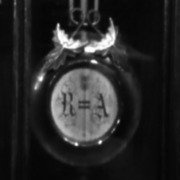 Baseball Shorts / Lasso