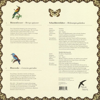 Bienenfresser & Blauracke