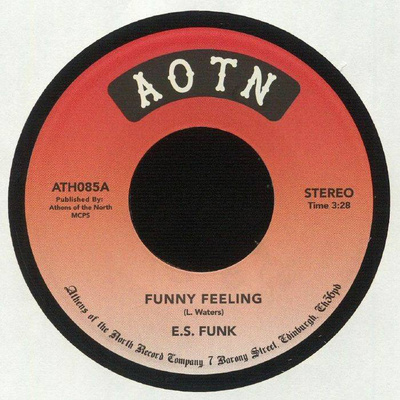 Funny Feeling / Shake Your Body (At The Disco)